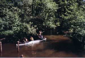 auf dem Rhin